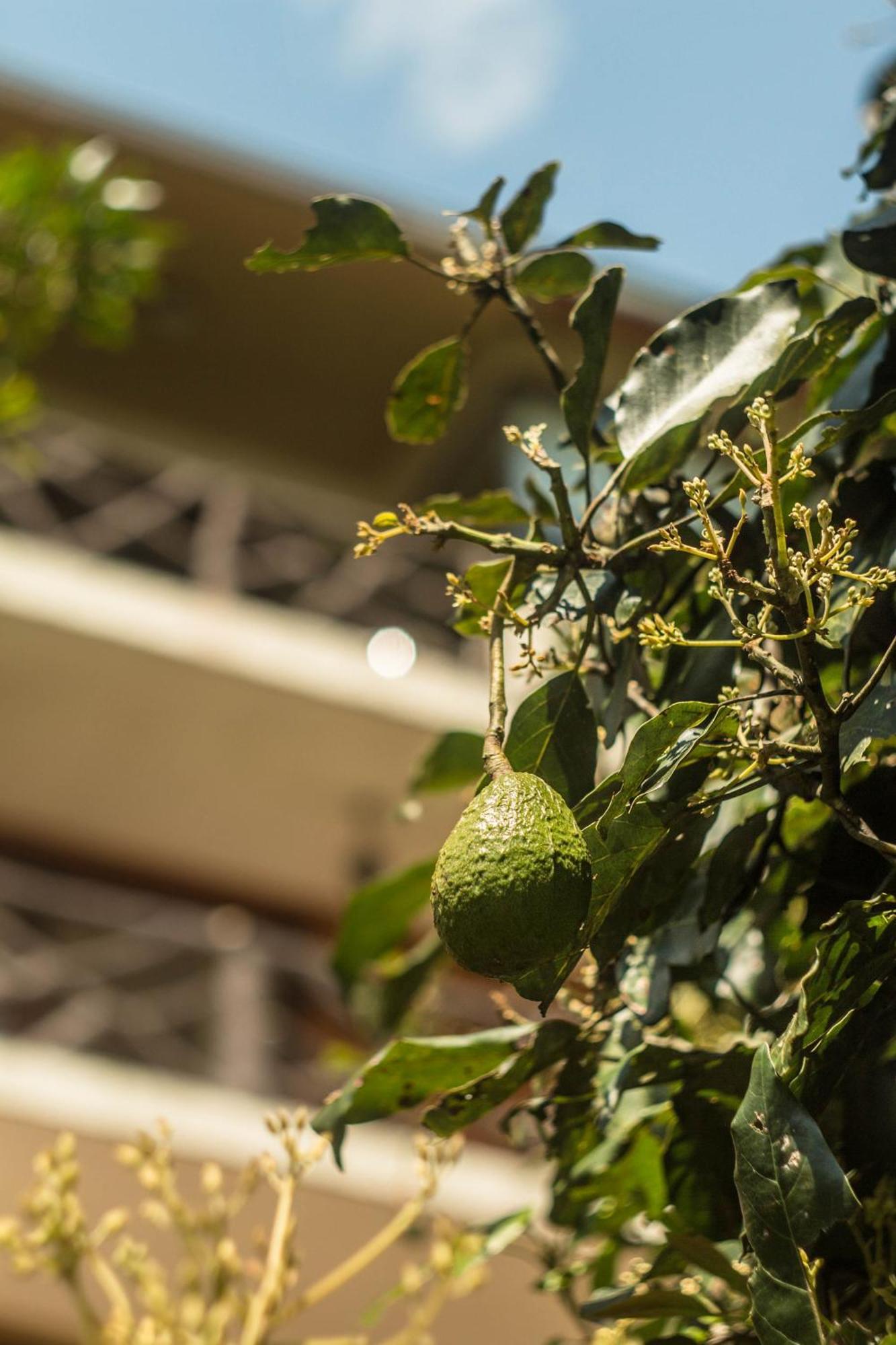 Aldea Real Eco Friendly Otel Baños Dış mekan fotoğraf